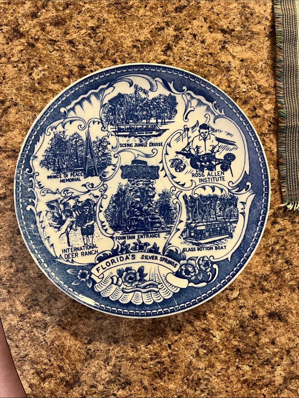 Blue and White Florida Silver Springs Souvenir Plate